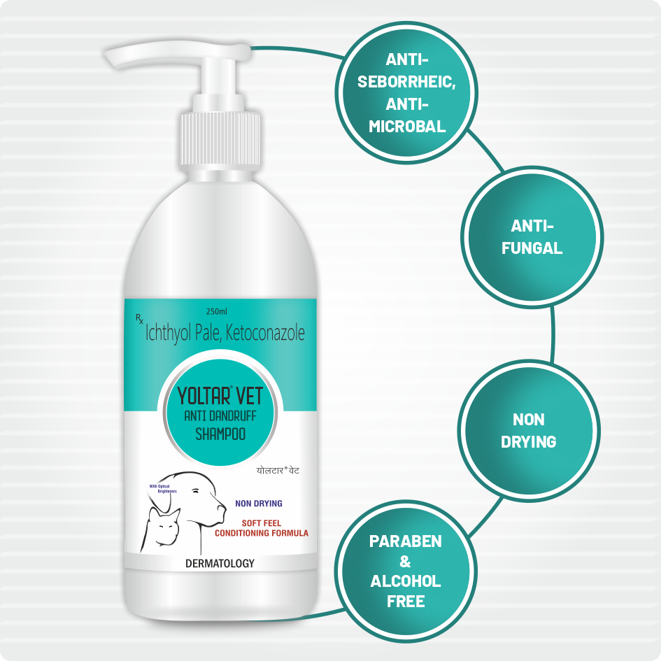 Yoltar Vet Anti-dandruff Shampoo 250ml