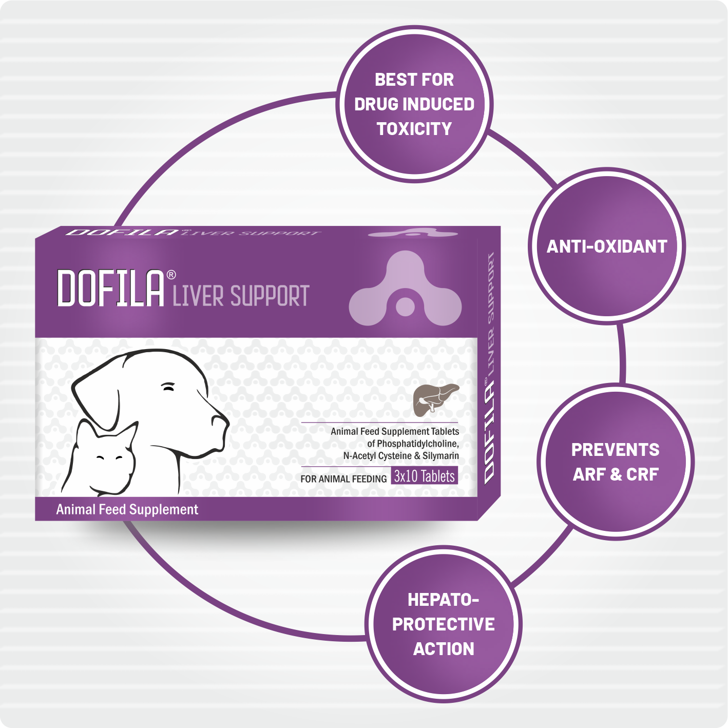 Dofila Liver Support Tablet