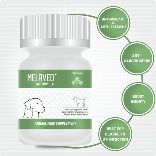 Melaved Anti Allergy Formula Tablet