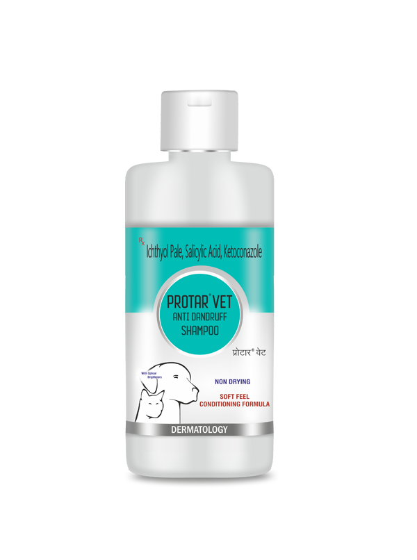 Protar Vet Anti-dandruff Shampoo 1Liter